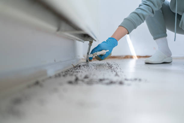 Pest Control Cost in Chardon, OH